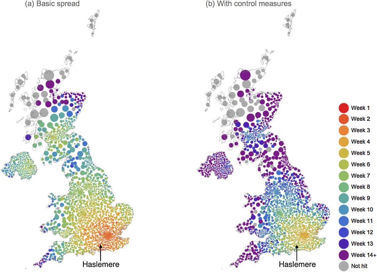 The effect of hand washing