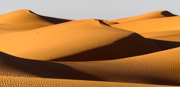 Shifting sands: protecting environments from dune migration