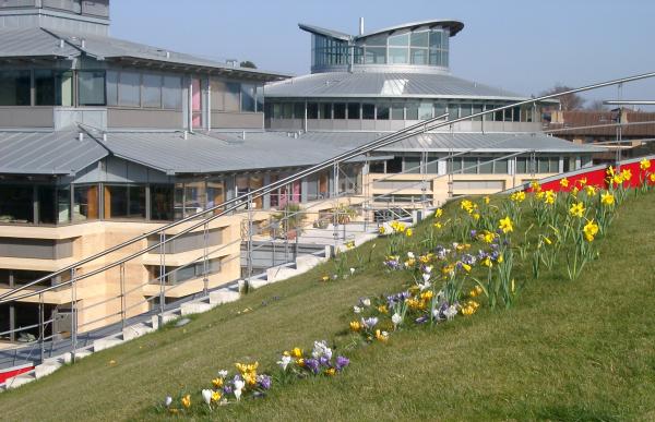 spring flowers on CMS roof