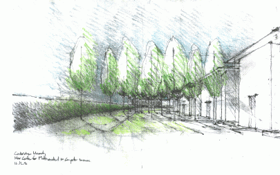 Parkland Sketch